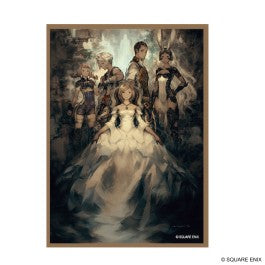 Final Fantasy Sleeves