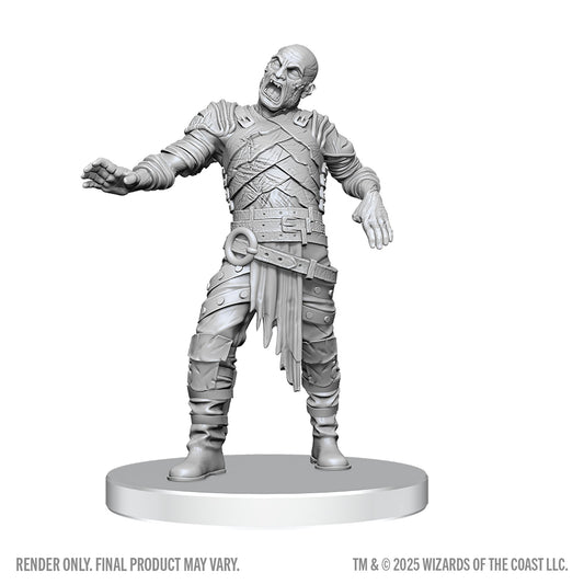 D&D Nolzur's Marvelous Miniatures: Swarm of Rot Grubs & Rot Grub Victim